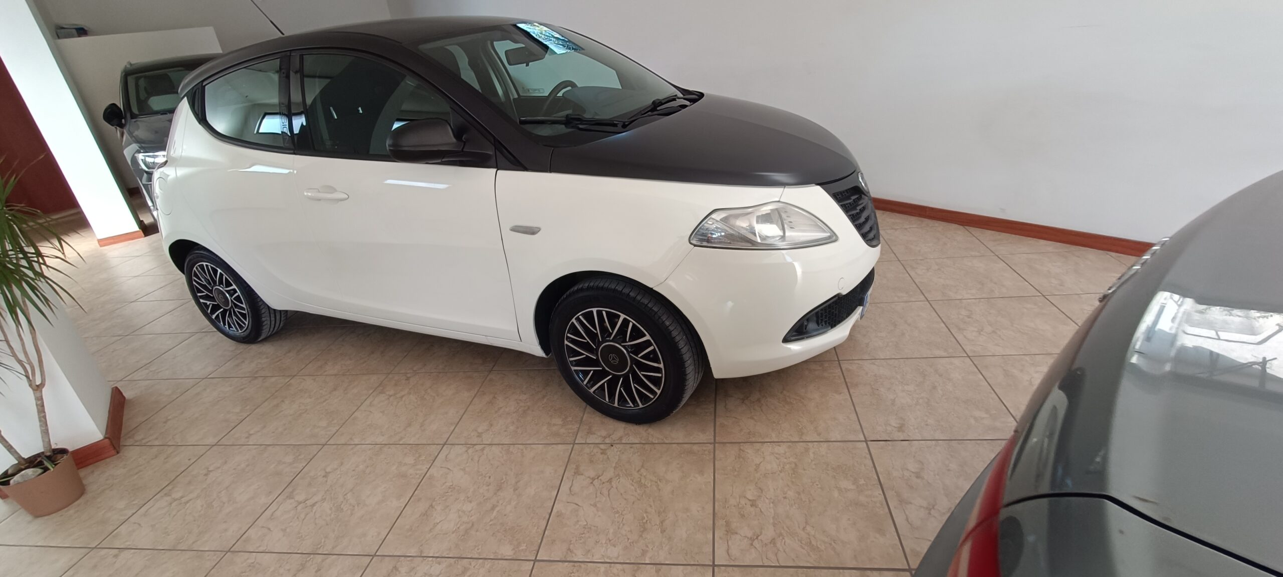 Lancia Ypsilon III 1.2 8v S MomoDesign s