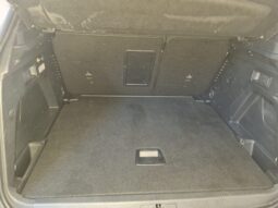 Peugeot 3008 1.5 bluehdi Active Business s pieno