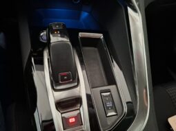 Peugeot 3008 1.5 bluehdi Active Business s pieno