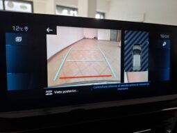 Peugeot 3008 1.5 bluehdi Active Business s pieno