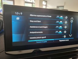 Peugeot 3008 1.5 bluehdi Active Business s pieno